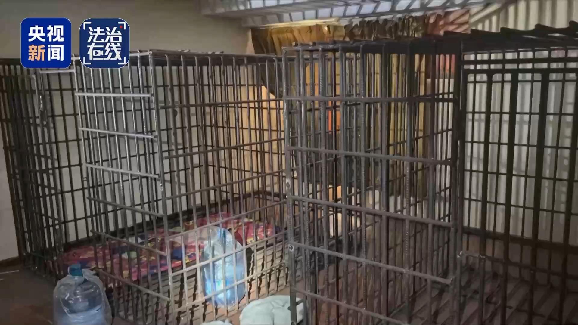 校園周邊禁售煙酒，違規(guī)店家已遭立案！